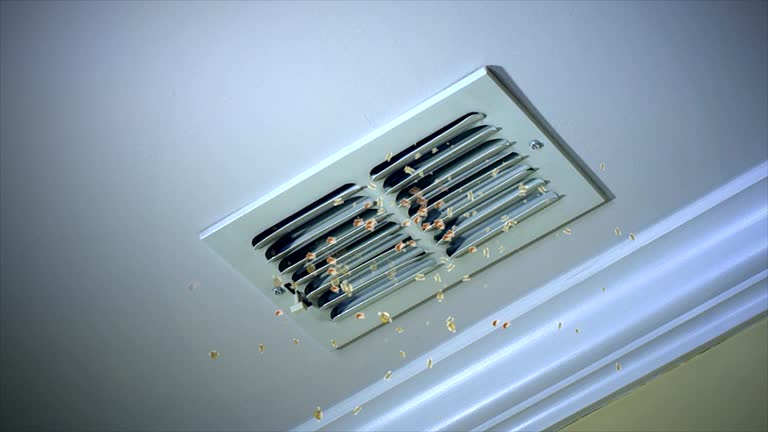 Best Professional Duct Cleaning Services  in Lavon, TX