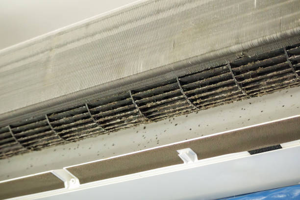 Best HVAC Air Duct Cleaning  in Lavon, TX